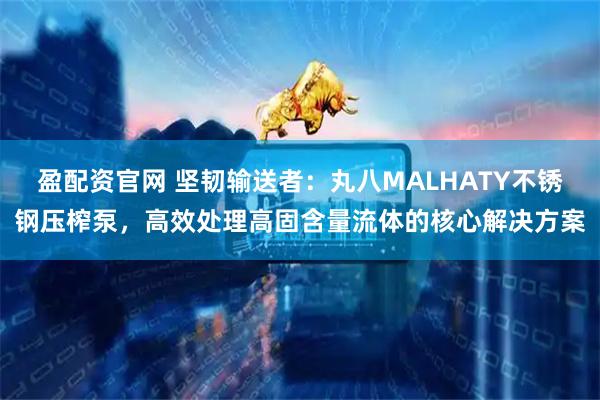 盈配资官网 坚韧输送者：丸八MALHATY不锈钢压榨泵，高效处理高固含量流体的核心解决方案
