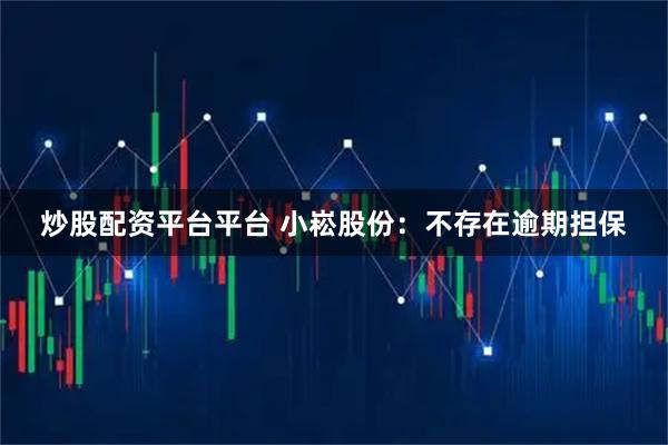 炒股配资平台平台 小崧股份：不存在逾期担保